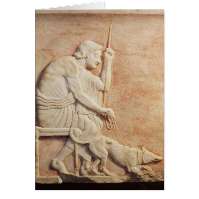 Hostigamiento animal (Frente)