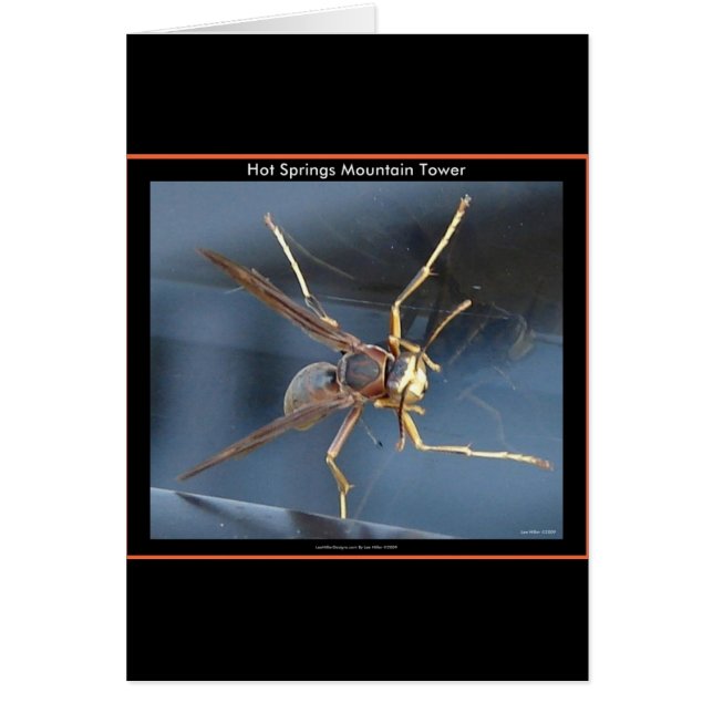 Hot Springs Mountain Wasp Gift & Aparel (Frente)