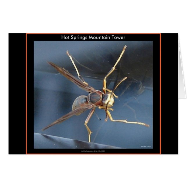 Hot Springs Mountain Wasp Gift & Aparel (Anverso (Horizontal))