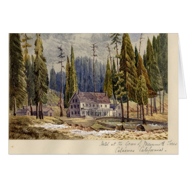 Hotel en la arboleda de los árboles de Mamoth (Anverso (Horizontal))