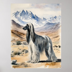 Hound afgano - Impresión de arte de perro