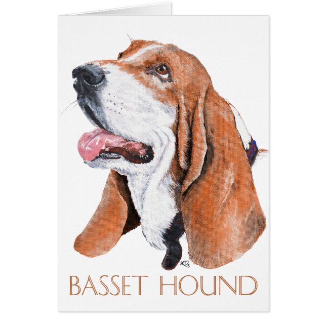 Hound Basset (Frente)