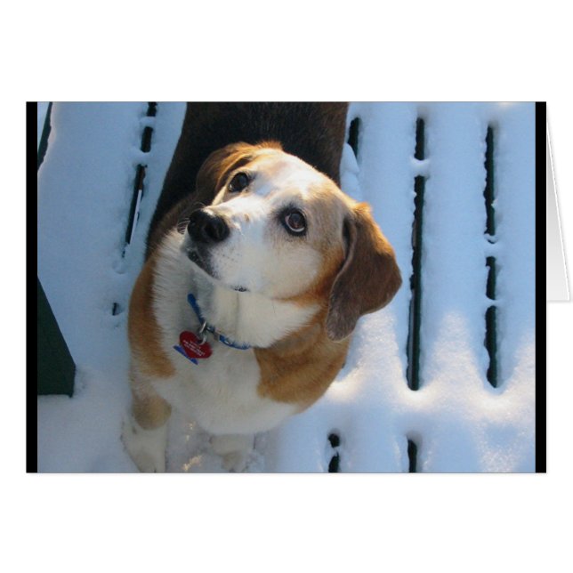 Hound Heaven (Anverso (Horizontal))