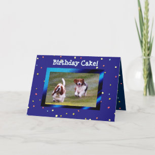 Hounds de Basset en la divertida tarjeta de cumple