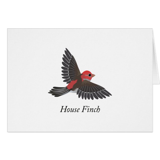 House Finch (Anverso (Horizontal))