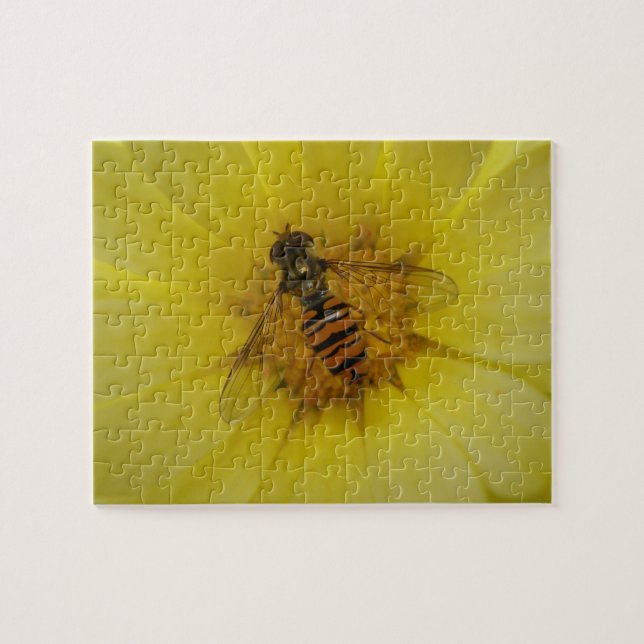 Hoverfly sobre el rompecabezas de Marigold (Horizontal)