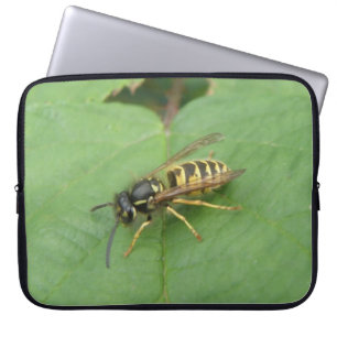 Hoverfly sobre la bolsa de un portátil hoja
