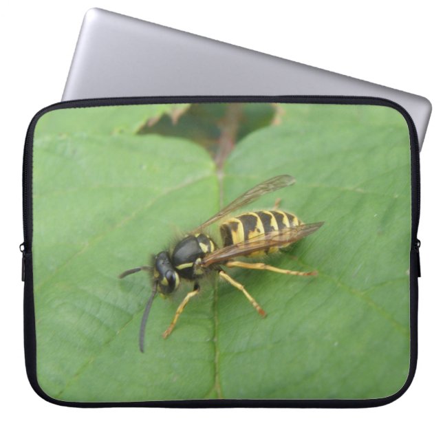 Hoverfly sobre la bolsa de un portátil hoja (Frente)