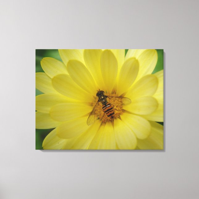 Hoverfly sobre la imagen de lienzo de Marigold (Anverso)