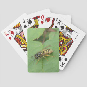 Hoverfly sobre las cartas de juego de hojas