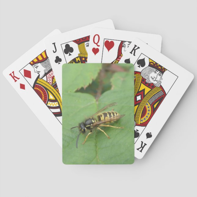 Hoverfly sobre las cartas de juego de hojas (Reverso)