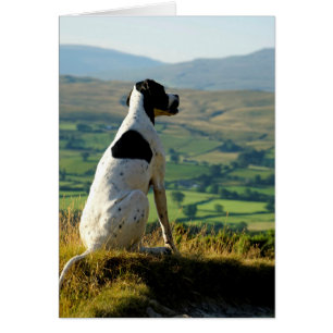 Howgillhounds carda el indicador y el paisaje