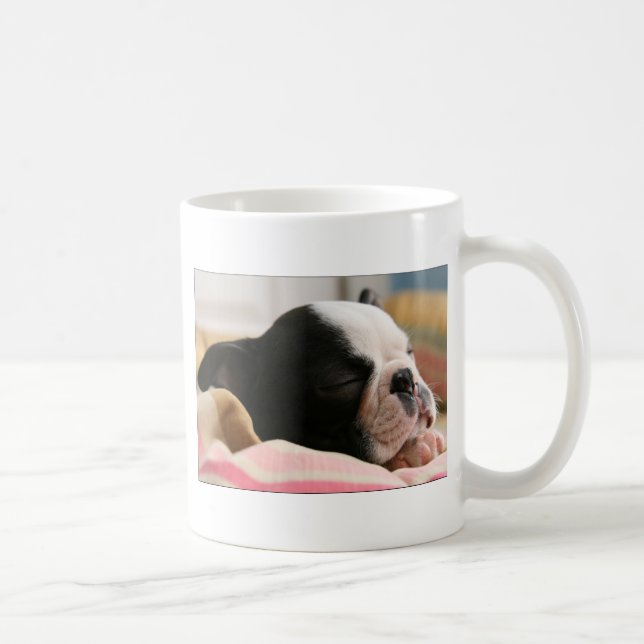 Howie toma una taza de la siesta (Derecha)