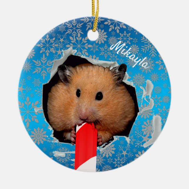 Hoyo masticador de hámster en adorno navideño (Frente)