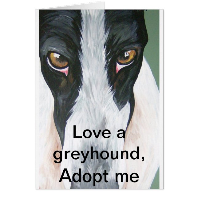 HPIM0059, aman un galgo, me adoptan (Frente)