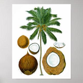 Huella botánica #1 Decoración de Arte Tropical