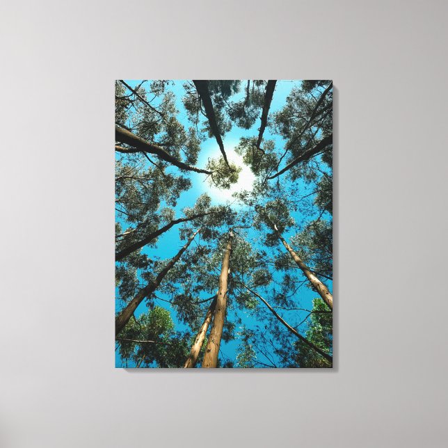 huella de canava de arte natural (Anverso)