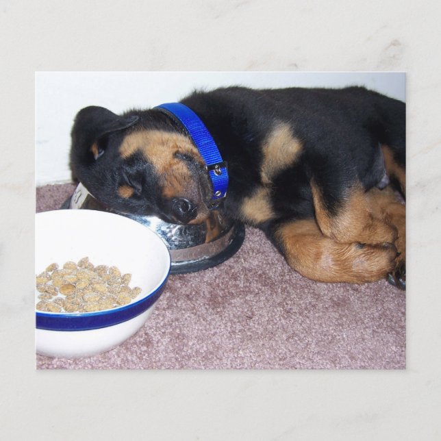 huella de la pata en su tarjeta conmemorativa de p (Anverso)