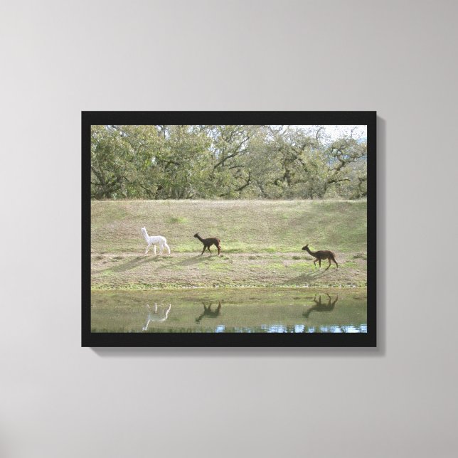 Huella de lienzo - Alpacas on the Hill (Anverso)