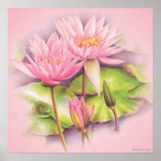 Huella de poster botánico de arte fino rosa lirio 