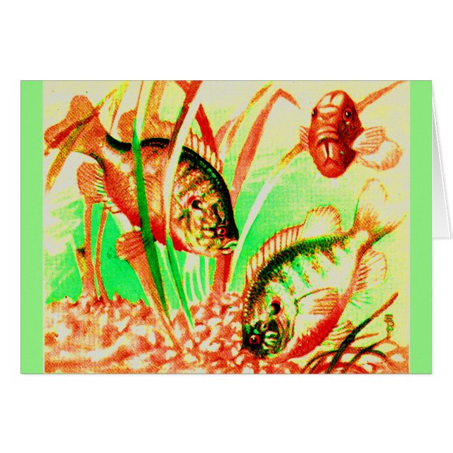 huella de sol de agua dulce (Anverso (Horizontal))