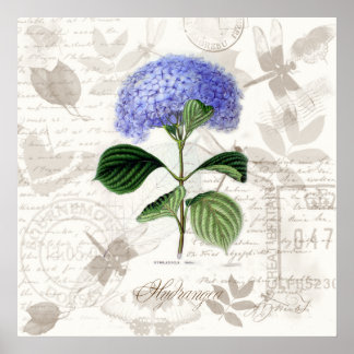 Huellas de arte botánico vintage Heirloom Hydrange