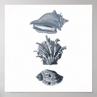 Huellas de conchas grises en la decoración de la p