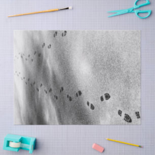 Huellas de papel de tejidos de nieve