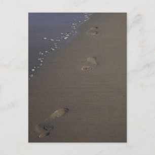 Huellas en la postal de Sand Beach