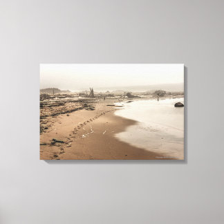 Huellas en un lienzo de playa con niebla