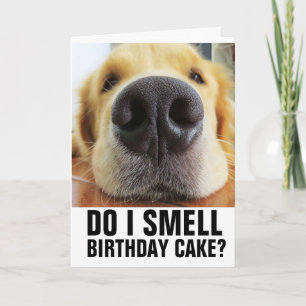 ¿HUELO LA TARTA DE CUMPLEAÑOS? TARJETAS DE PERRO D