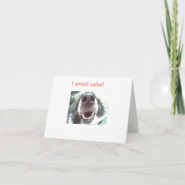 "¡Huelo pastel!" Tarjeta de cumpleaños Dog Nose