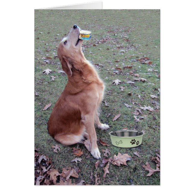 Hueso Appetit (Frente)