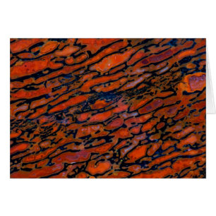Hueso de dinosaurio petrificado rojo