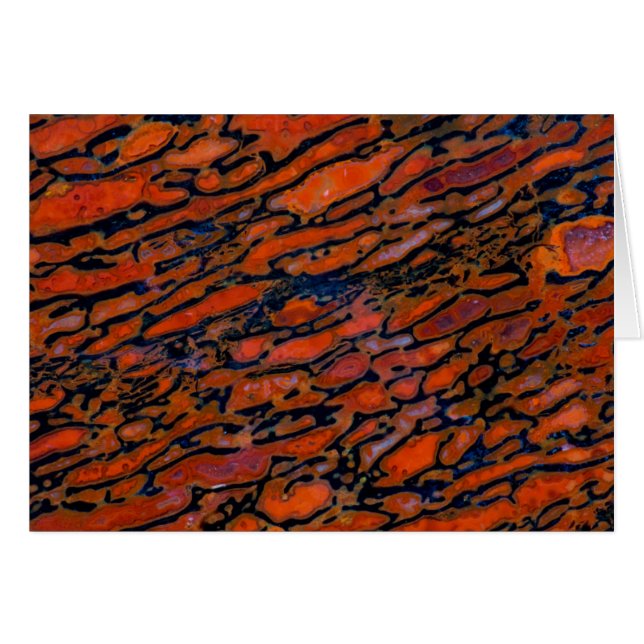 Hueso de dinosaurio petrificado rojo (Anverso (Horizontal))