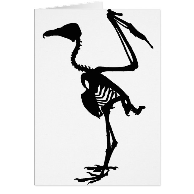 Huesos del buitre (Frente)