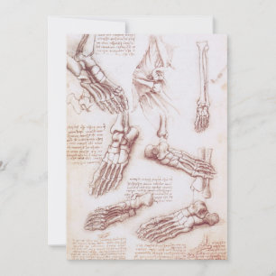 Huesos del pie de la anatomía humana de Leonardo d