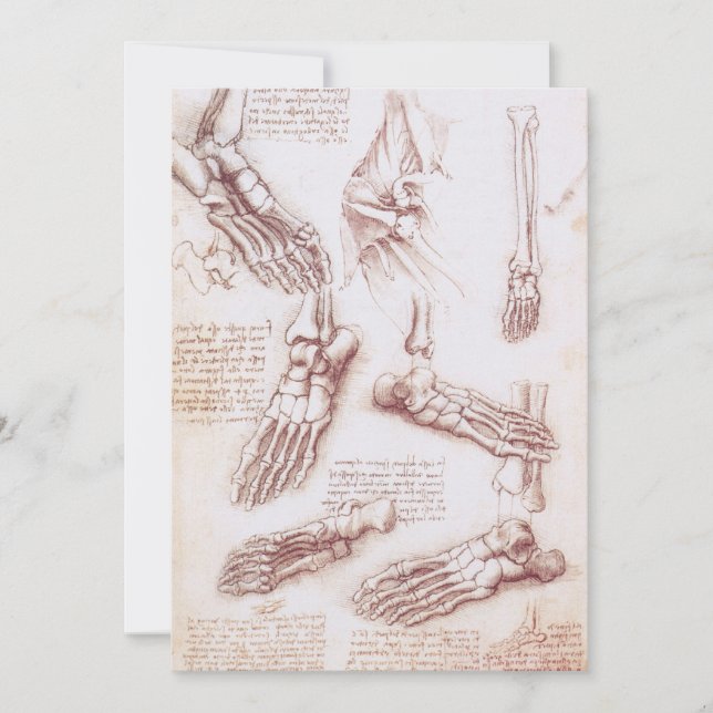 Huesos del pie de la anatomía humana de Leonardo d (Anverso)