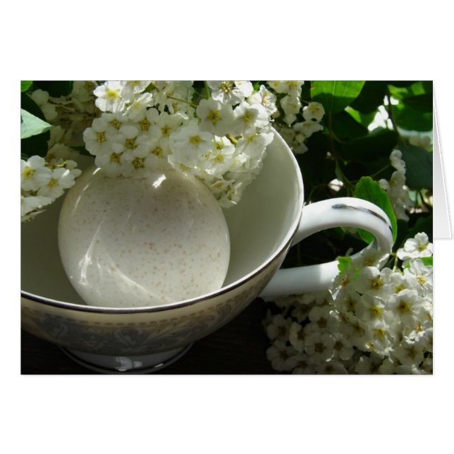 Huevo de Turquía en la televisión en todas las oca (Anverso (Horizontal))