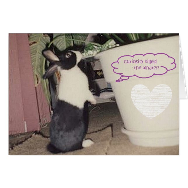 huevo por golondrina (Anverso (Horizontal))