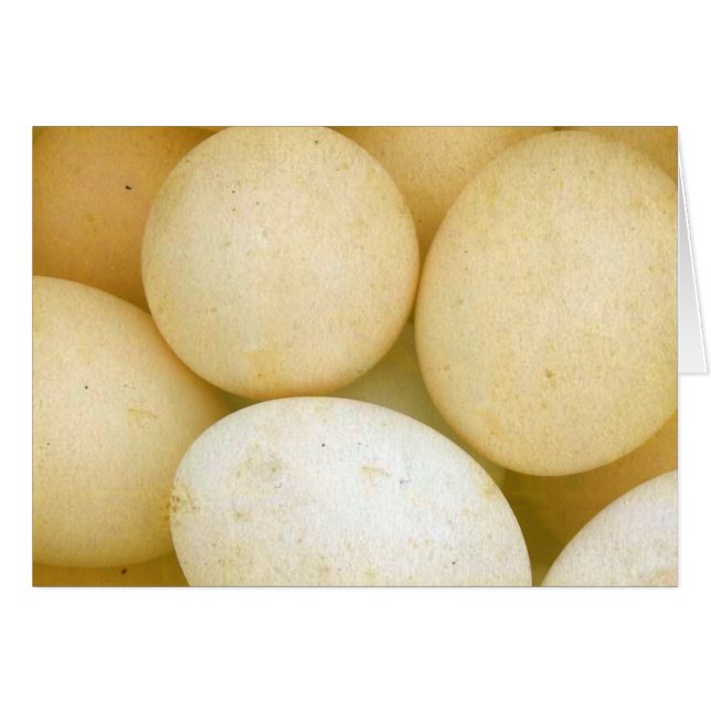 Huevos (Anverso (Horizontal))