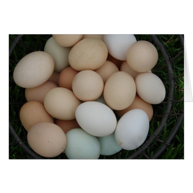 Huevos (Anverso (Horizontal))