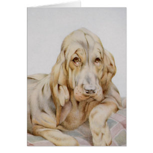 Huevos blancos, perros cachorros de EJ Detmold