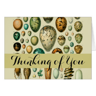 Huevos de aves de corral arte de huevo de pescado 