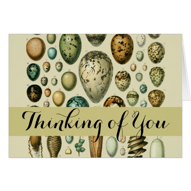 Huevos de aves de corral arte de huevo de pescado  (Anverso (Horizontal))