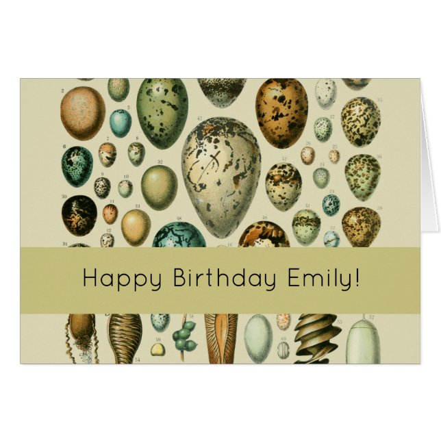 Huevos de aves de corral arte de huevo de pescado  (Anverso (Horizontal))