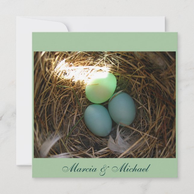 Huevos de Bluebird tres veces (Anverso)