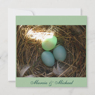Huevos de Bluebird tres veces