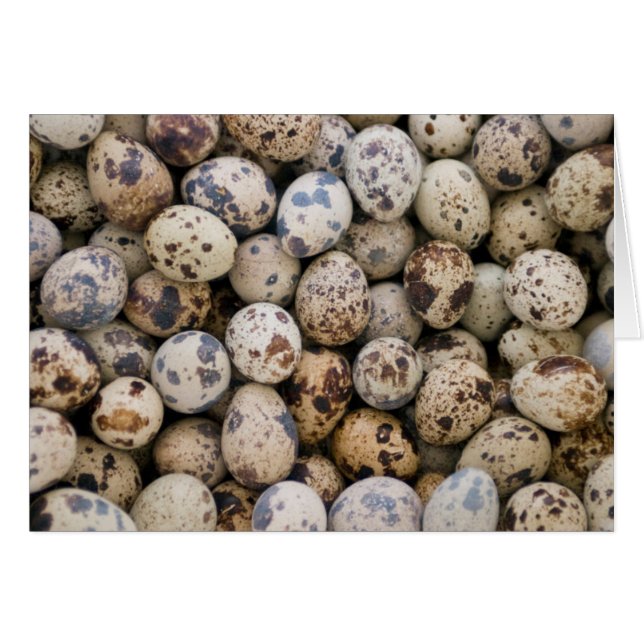 Huevos de Codorniz, Huaraz, Cordillera Blanca, Anc (Anverso (Horizontal))