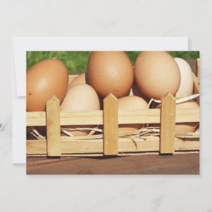 huevos de gallina naturales por país